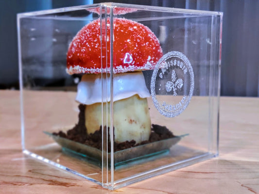 Le Champignon (Mushroom Illusion Entremet)